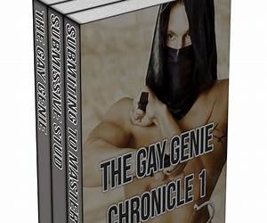 The Gay Genie Chronicle Collection 7 The Gay Genie Chronicle Collection 7