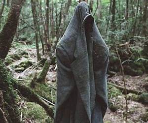 The Ghosts of Suicide Forest The Ghosts of Suicide Forest