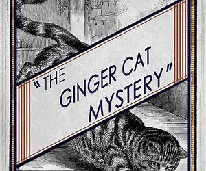 The Ginger Cat Mystery