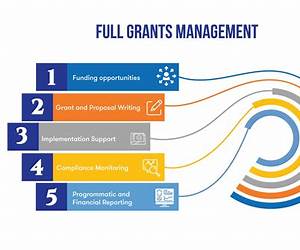 The Grant Winning Success Guide: 5 Strategies to Triple Your Chances of Winning Grants The Grant Winning Success Guide: 5 Strategies to Triple Your Chances of Winning Grants