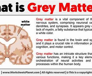 The Gray Matter (Rebels and Patriots, #3)