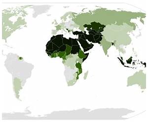 The Islamic World: A History in Objects