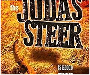 The Judas Steer