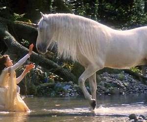 The Legendary Unicorn: A Treasury of Tales