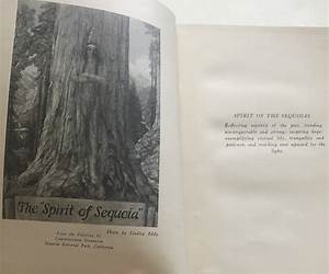The Lore and the Lure of Sequoia : The Sequoia Gigantea, Its History and Description: Animals, Geology, Indians and the Story of the Indian Sequoia and the History of Sequoia National Park The Lore and the Lure of Sequoia : The Sequoia Gigantea, Its History and Description: Animals, Geology, Indians and the Story of the Indian Sequoia and the History of Sequoia National Park