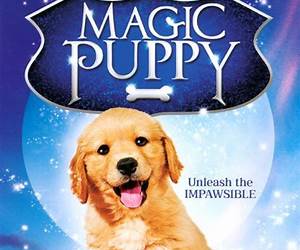 The Magic Puppy