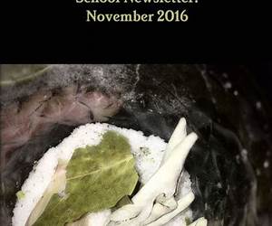The Magical Circle School Newsletter: January 2016 The Magical Circle School Newsletter: January 2016