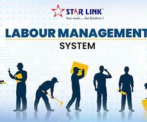 The Management of Labour