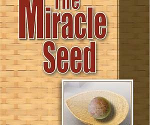 The Miracle Seed: Black Seed To The Rescue: Discover how Black Seed can be used as natural remedies to fight Cancer, Asthma, Indigestion, Immune system disease, Skin condition, Bronchitis \u0026 more The Miracle Seed: Black Seed To The Rescue: Discover how Black Seed can be used as natural remedies to fight Cancer, Asthma, Indigestion, Immune system disease, Skin condition, Bronchitis \u0026 more