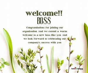The New Boss (Loving the Billionaire, #1)