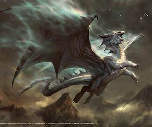 The Platinum Dragon (Valdaar's Fist Book 4) The Platinum Dragon (Valdaar's Fist Book 4)