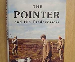 The Pointer And His Predecessors The Pointer And His Predecessors