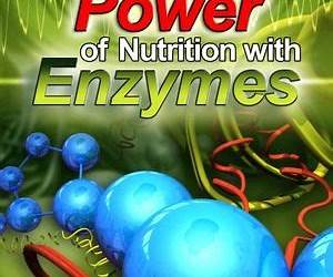 The Power of Nutrition with Enzymes The Power of Nutrition with Enzymes