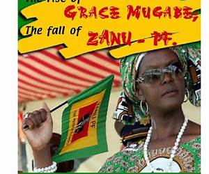 The Rise of Grace Mugabe-The Fall of ZANU PF.: Truth telling book about Africa's upcoming first female Dictator.