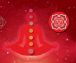 The Root Chakra: The First Chakra The Muladhara Guide The Root Chakra: The First Chakra The Muladhara Guide