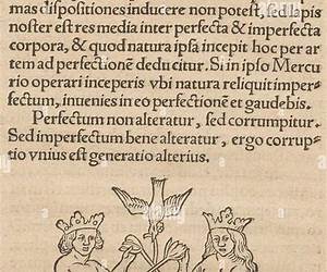 The Rosary of the Philosophers: An Alchemical Manuscript The Rosary of the Philosophers: An Alchemical Manuscript
