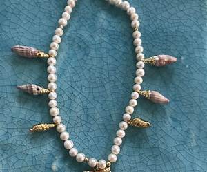 The Seashell Necklace