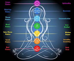 The Secret to your Chakra's: A handbook to guide you working with your Chakra's