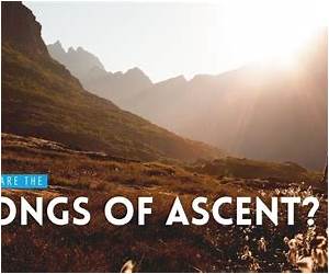 The Songs of Ascents: Psalms 120 to 134 in the Worship of Jerusalem's Temples