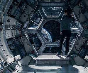 The Space Stowaway The Space Stowaway