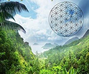 The Tao of the Jungleman