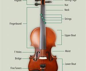 The Violin (Learn to Play) The Violin (Learn to Play)