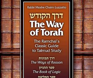 The Way of Torah: The Ramchal's Classic Guide to Torah Study The Way of Torah: The Ramchal's Classic Guide to Torah Study