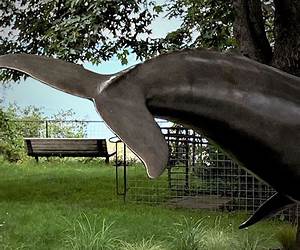 The Wishing Whale