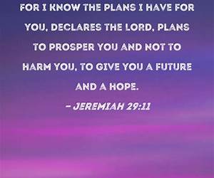 Thought I Knew the Plan Thought I Knew the Plan