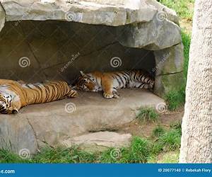 Tiger's Den (Tiger's Sword, #2) Tiger's Den (Tiger's Sword, #2)