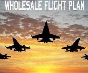 Tim Bell's Wholesale Flight Plan: A Step by Step Guide to Wholesale Real Estate Success in the 21st Century