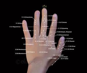 Top Tung Acupuncture Points: Clinical Handbook