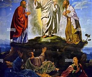 Transfiguration: Turn That Floozy Series Transfiguration: Turn That Floozy Series