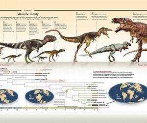 Tyrannosaurus Rex and Its Relatives (Dinosaur Fact Dig)