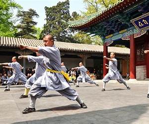 Ultimate Chinese Martial Art, The: The Science Of The Weaving Stance Bagua 64 Forms And Its Wellness Applications Ultimate Chinese Martial Art, The: The Science Of The Weaving Stance Bagua 64 Forms And Its Wellness Applications