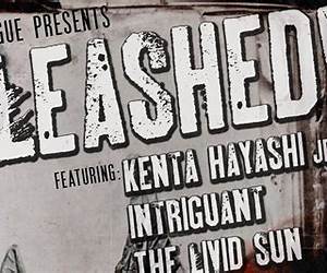 Unleashed Vol. 5 Unleashed Vol. 5
