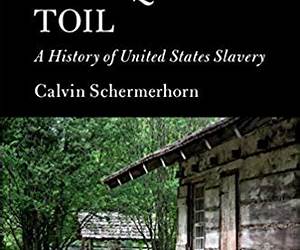 Unrequited Toil: A History of United States Slavery (Cambridge Essential Histories)