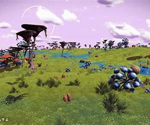Unusual Paradise Unusual Paradise