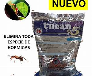 Veneno para hormigas Veneno para hormigas