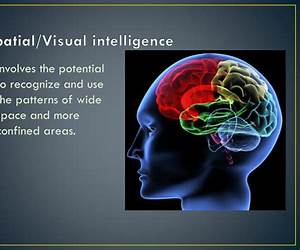 Visual Intelligence: Sharpen Your Perception, Change Your Life