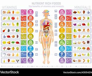 Vitamin and Mineral Requirements in Human Nutrition, Second Edition Vitamin and Mineral Requirements in Human Nutrition, Second Edition