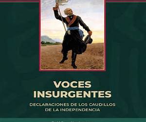 Voces insurgentes : declaraciones de los caudillos de la independencia Voces insurgentes : declaraciones de los caudillos de la independencia