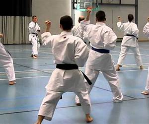Wado Ryu Karate: By Hironori Otsuka