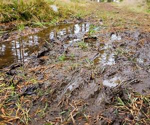 Waterlogged Waterlogged