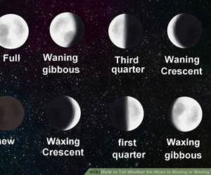 Wax Wane: A Gathering of Witch Tales Wax Wane: A Gathering of Witch Tales