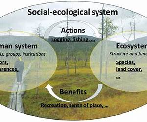 What Is Social Ecology? What Is Social Ecology?