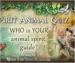 What's Your Spirit Animal? What's Your Spirit Animal?