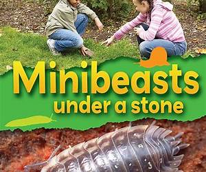 Where to Find Minibeasts: Minibeasts in the Home Where to Find Minibeasts: Minibeasts in the Home