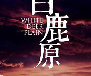White Dee Plain (Chinese Edition) White Dee Plain (Chinese Edition)