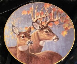 Wild Plate: Modern Living Cuisine